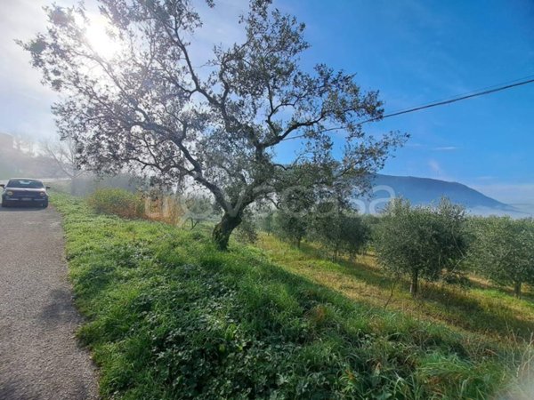 terreno agricolo in vendita a Sant'Agata de' Goti