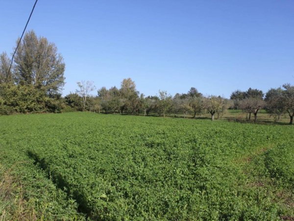 terreno agricolo in vendita a Sant'Agata de' Goti