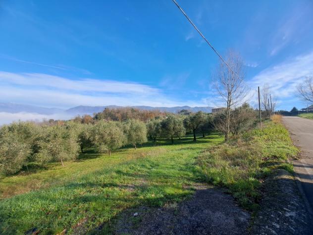 terreno agricolo in vendita a Sant'Agata de' Goti