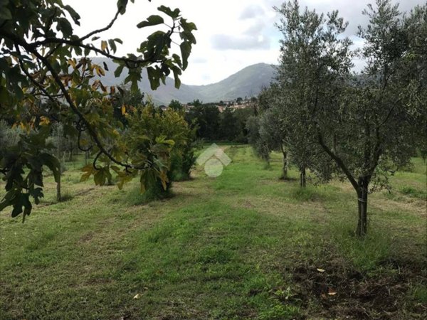 terreno agricolo in vendita a Sant'Agata de' Goti