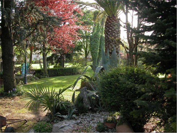 casa indipendente in vendita a Sant'Agata de' Goti