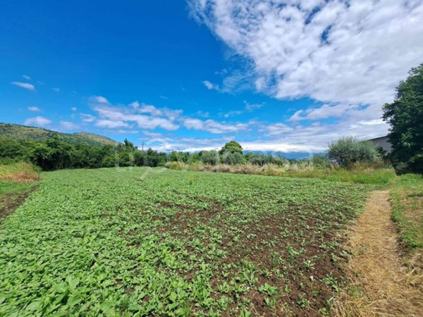 terreno agricolo in vendita a Sant'Agata de' Goti in zona Bagnoli