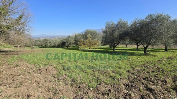terreno agricolo in vendita a Sant'Agata de' Goti