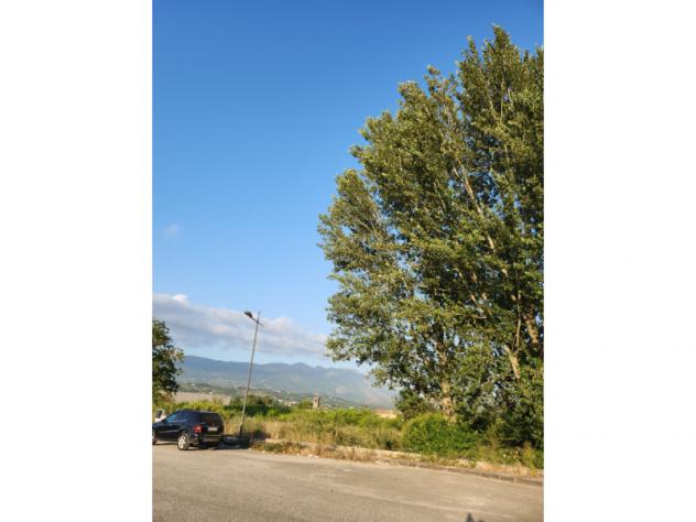 terreno agricolo in vendita a Sant'Agata de' Goti