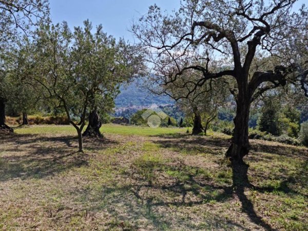 terreno agricolo in vendita a Sant'Agata de' Goti