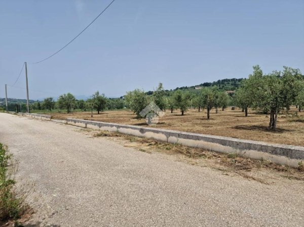 terreno agricolo in vendita a Sant'Agata de' Goti in zona Faggiano