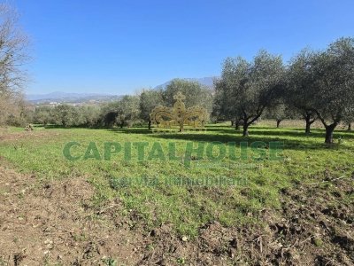 terreno agricolo in vendita a Sant'Agata de' Goti
