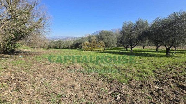 terreno agricolo in vendita a Sant'Agata de' Goti