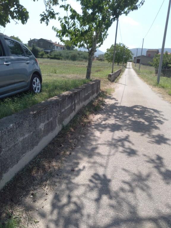 terreno agricolo in vendita a Sant'Agata de' Goti in zona Presta