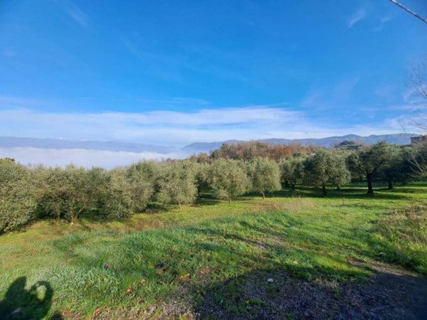 terreno agricolo in vendita a Sant'Agata de' Goti