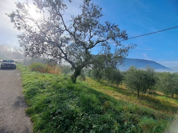 terreno agricolo in vendita a Sant'Agata de' Goti