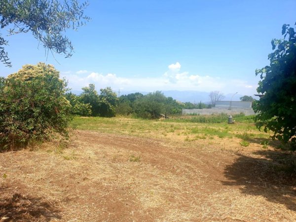 terreno agricolo in vendita a Sant'Agata de' Goti