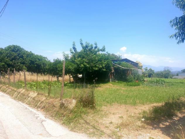 terreno agricolo in vendita a Sant'Agata de' Goti