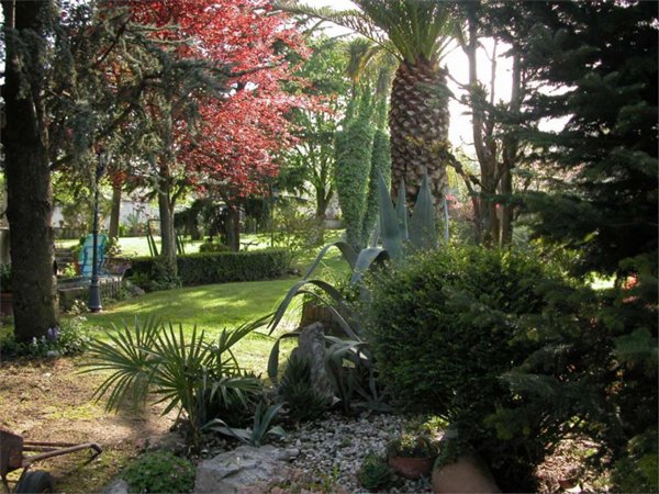casa indipendente in vendita a Sant'Agata de' Goti
