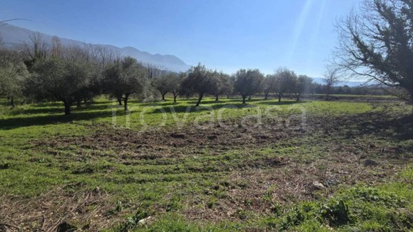 terreno agricolo in vendita a Sant'Agata de' Goti in zona Migliara/San Silvestro