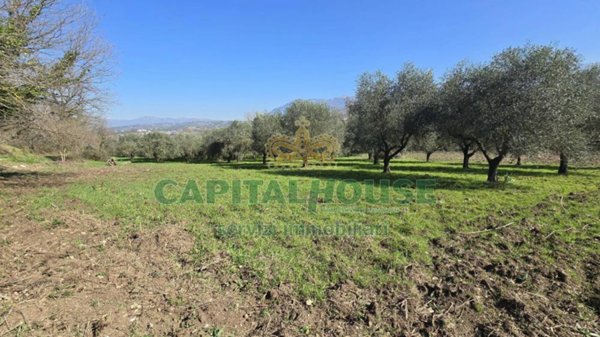 terreno agricolo in vendita a Sant'Agata de' Goti in zona Migliara/San Silvestro