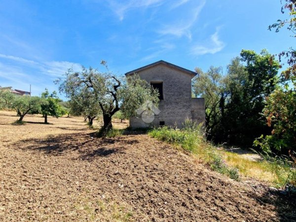 terreno agricolo in vendita a Sant'Agata de' Goti