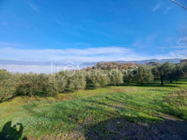 terreno agricolo in vendita a Sant'Agata de' Goti