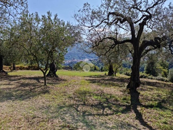 terreno agricolo in vendita a Sant'Agata de' Goti