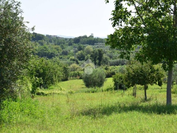 terreno agricolo in vendita a Sant'Agata de' Goti in zona Presta
