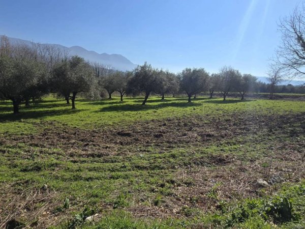 terreno agricolo in vendita a Sant'Agata de' Goti