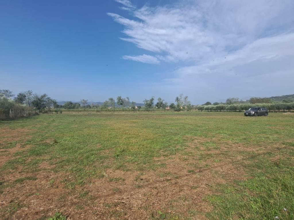 terreno agricolo in vendita a Sant'Agata de' Goti in zona Migliara/San Silvestro