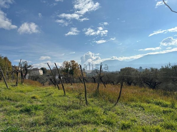 terreno agricolo in vendita a Sant'Agata de' Goti