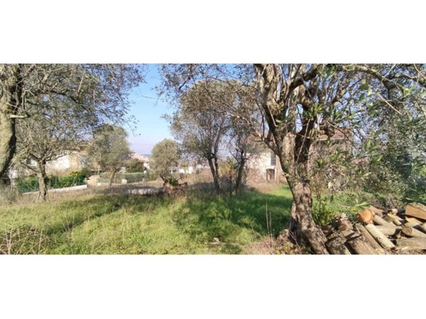 terreno agricolo in vendita a Sant'Agata de' Goti
