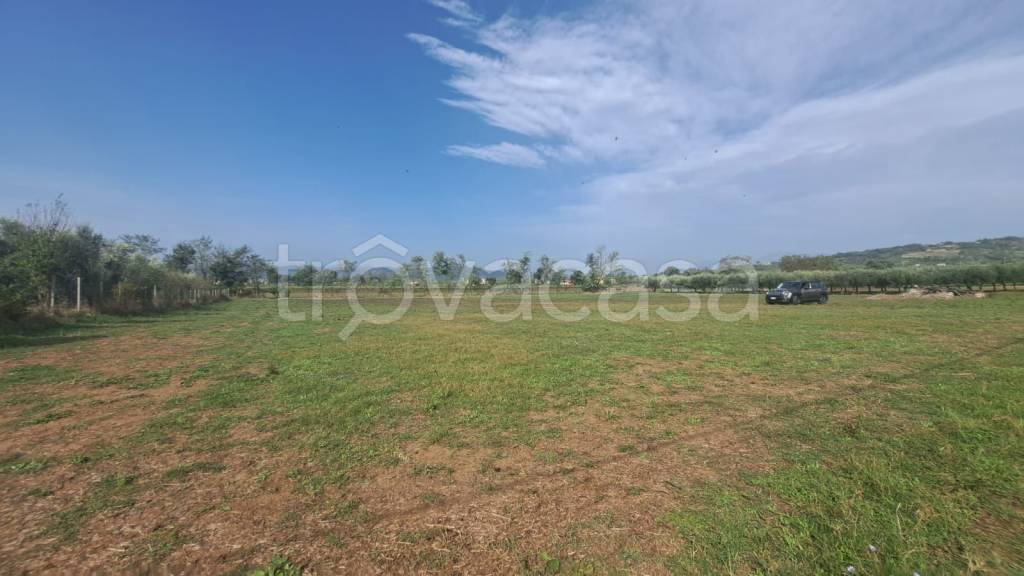 terreno agricolo in vendita a Sant'Agata de' Goti
