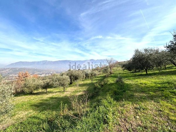 terreno agricolo in vendita a Sant'Agata de' Goti