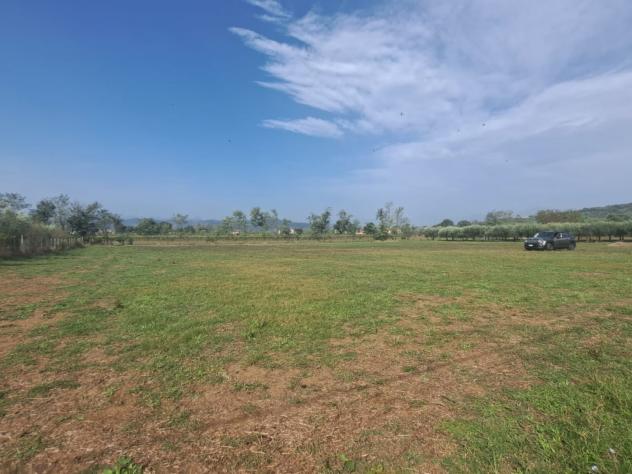 terreno agricolo in vendita a Sant'Agata de' Goti in zona Migliara/San Silvestro