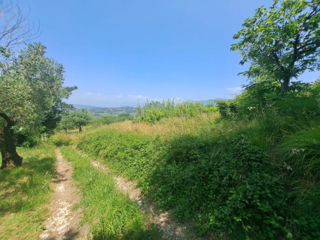 terreno agricolo in vendita a Sant'Agata de' Goti