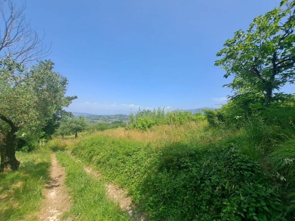 terreno agricolo in vendita a Sant'Agata de' Goti
