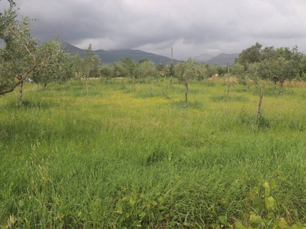 terreno agricolo in vendita a Sant'Agata de' Goti