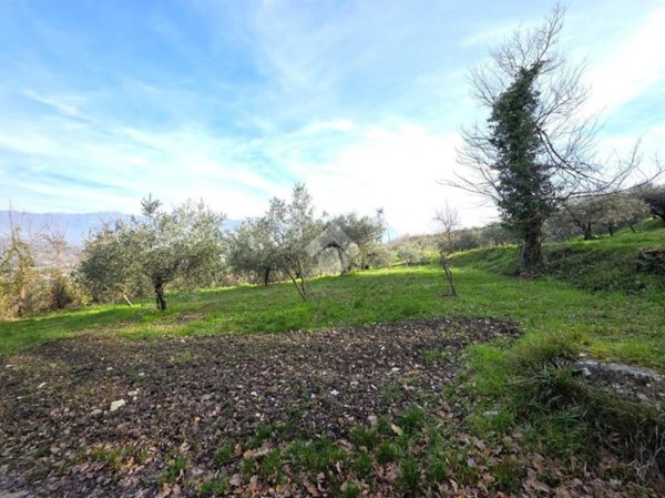 terreno agricolo in vendita a Sant'Agata de' Goti in zona Santa Croce