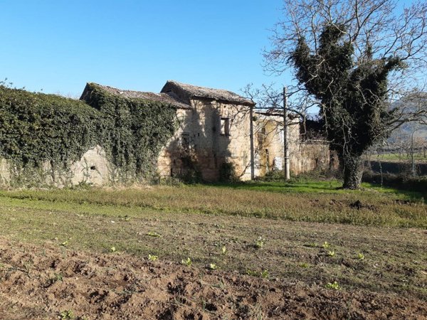 esavano in vendita a Sant'Agata de' Goti in zona Cotugni Paolini