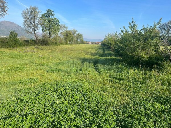 terreno agricolo in vendita a Sant'Agata de' Goti in zona Migliara/San Silvestro