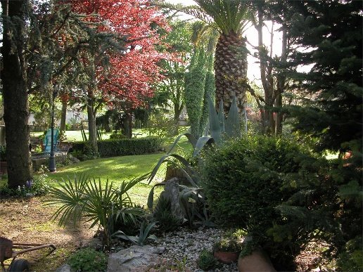 casa indipendente in vendita a Sant'Agata de' Goti