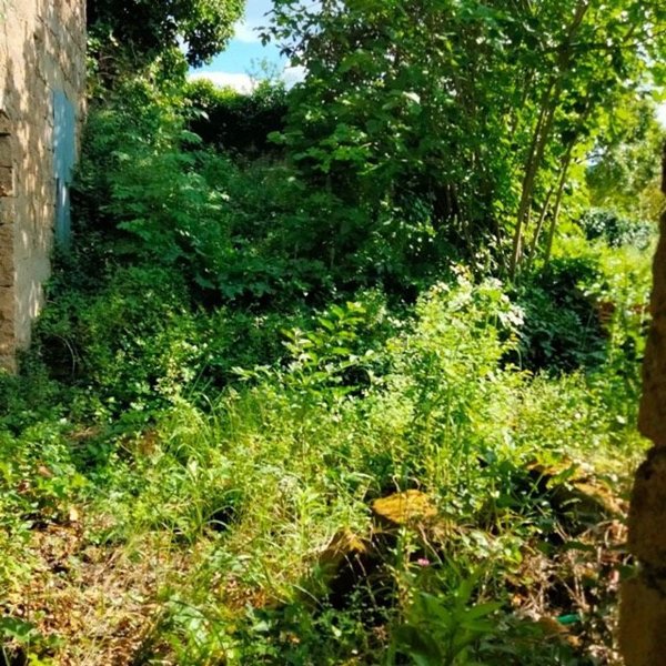casale in vendita a Sant'Agata de' Goti in zona Cotugni Paolini