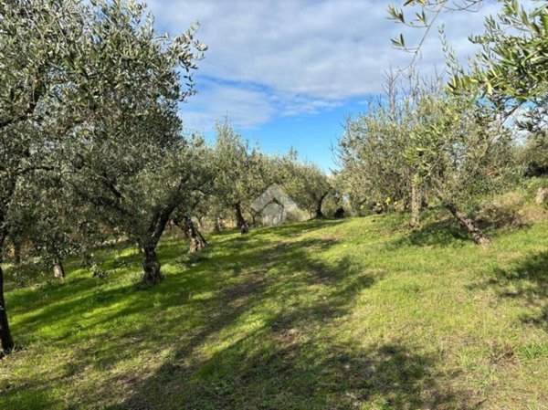 terreno agricolo in vendita a Sant'Agata de' Goti in zona Presta