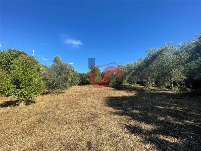 casa indipendente in vendita a Sant'Angelo a Cupolo in zona Pastene