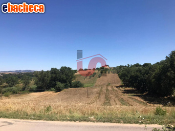 terreno edificabile in vendita a Sant'Angelo a Cupolo in zona Perrillo