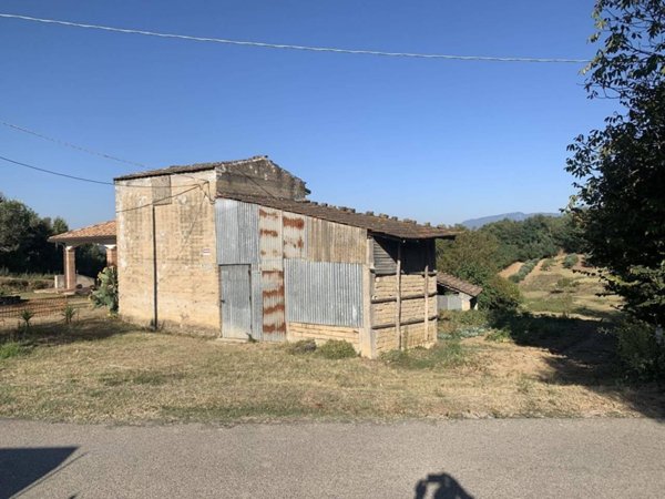 terreno agricolo in vendita a Sant'Angelo a Cupolo