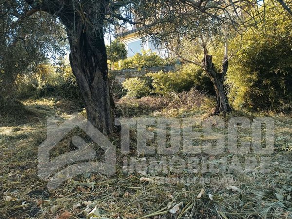 casa indipendente in vendita a Sant'Angelo a Cupolo in zona Bagnara