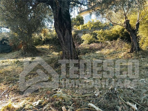 casa indipendente in vendita a Sant'Angelo a Cupolo in zona Bagnara