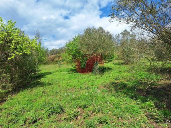casa indipendente in vendita a Sant'Angelo a Cupolo in zona Montorsi