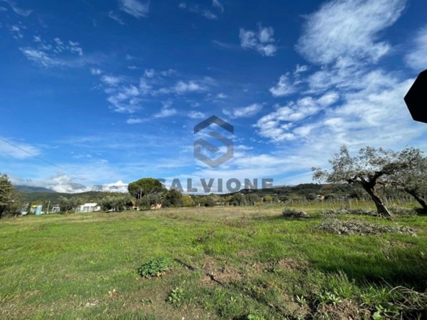 terreno agricolo in vendita a Solopaca