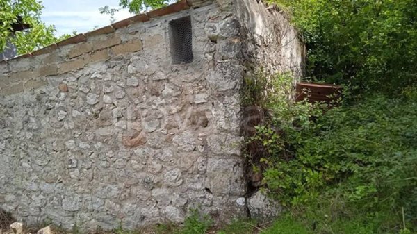 terreno agricolo in vendita a Solopaca