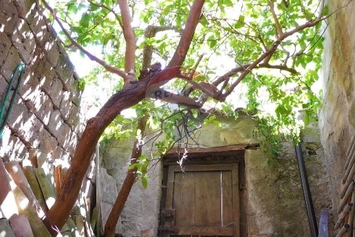 quadrivano in vendita a Solopaca