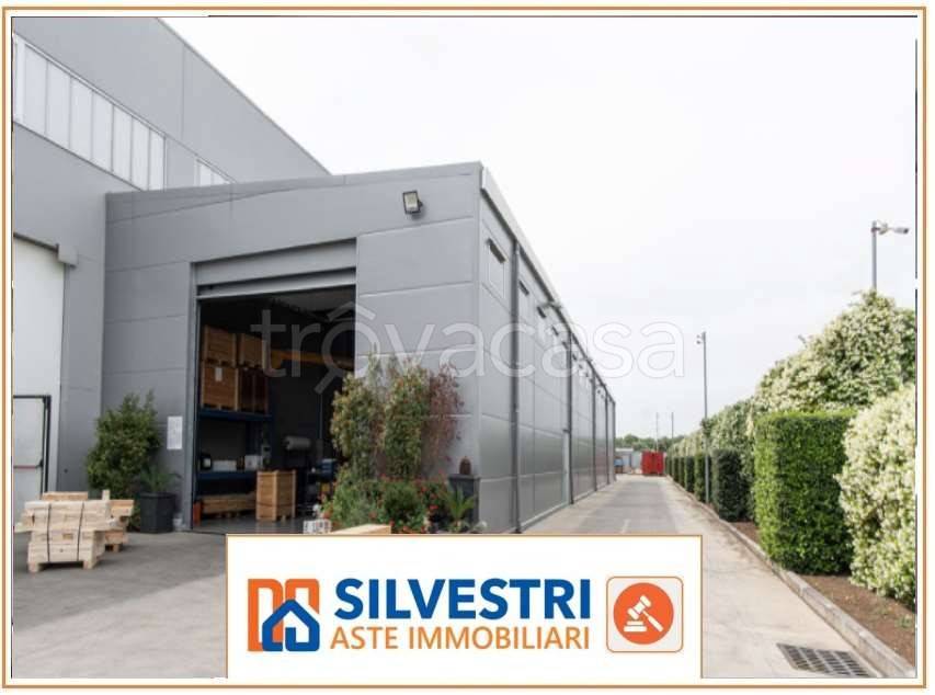 negozio in vendita a Solopaca